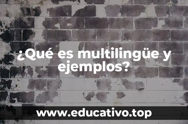 ¿Qué es multilingüe y ejemplos?