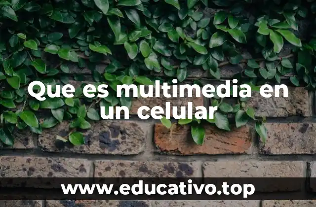 Que es multimedia en un celular