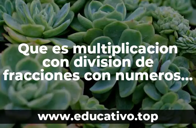 Que es multiplicacion con division de fracciones con numeros enteros