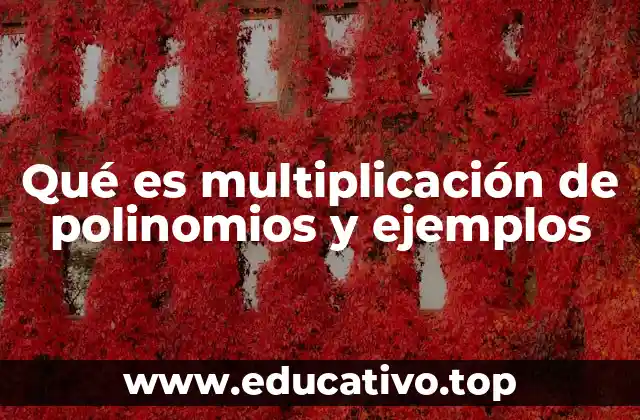 Qué es multiplicación de polinomios y ejemplos