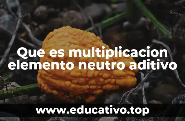 Que es multiplicacion elemento neutro aditivo