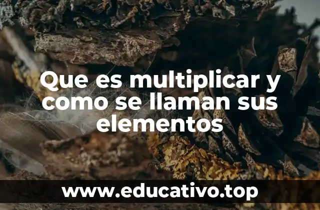 Que es multiplicar y como se llaman sus elementos