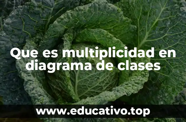 Que es multiplicidad en diagrama de clases