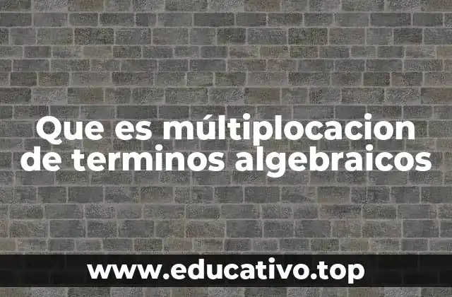 Que es múltiplocacion de terminos algebraicos