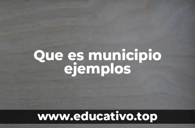Que es municipio ejemplos