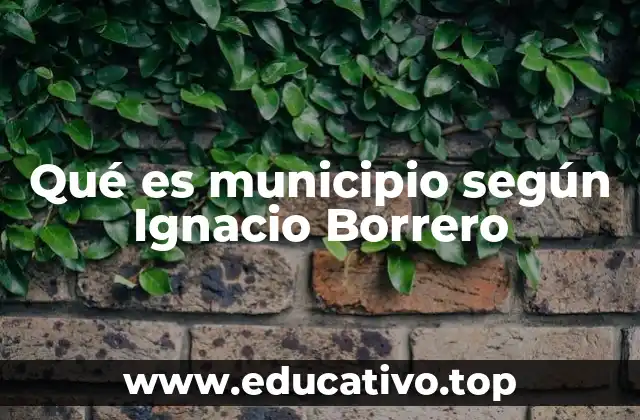 Qué es municipio según Ignacio Borrero