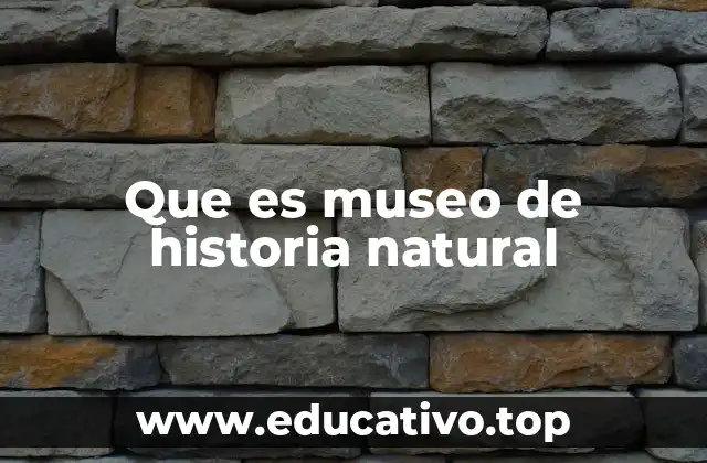Que es museo de historia natural
