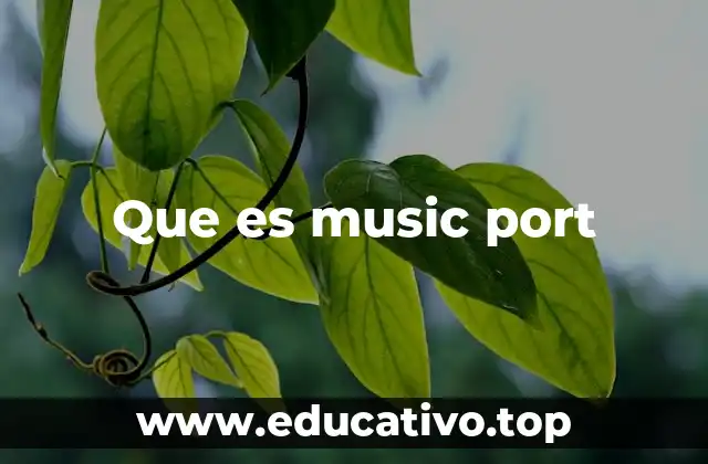 Que es music port