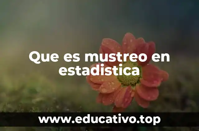 Que es mustreo en estadistica