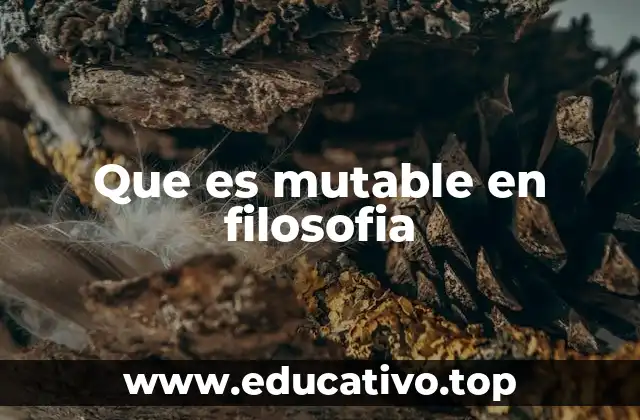 Que es mutable en filosofia
