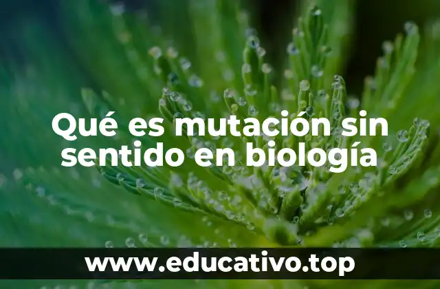 Qué es mutación sin sentido en biología