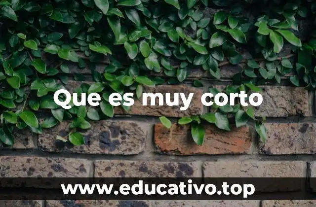 Que es muy corto