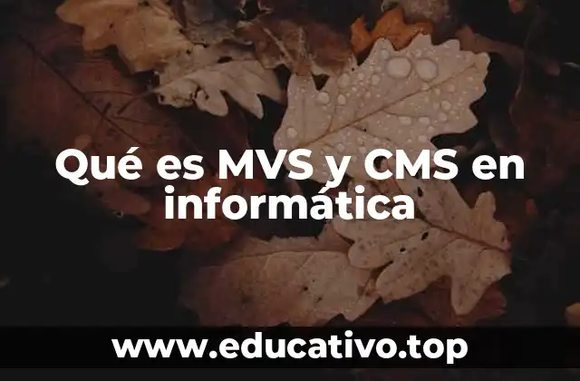 Qué es MVS y CMS en informática
