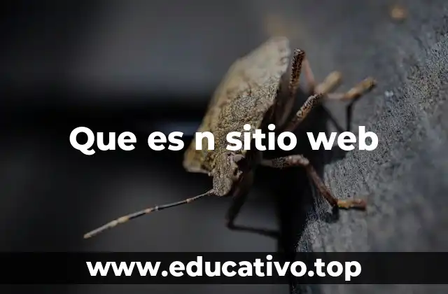 Que es n sitio web