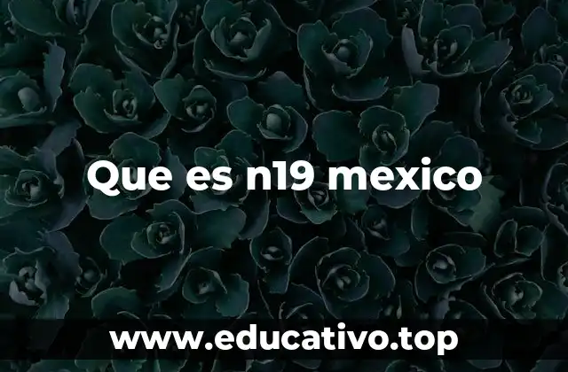 Que es n19 mexico