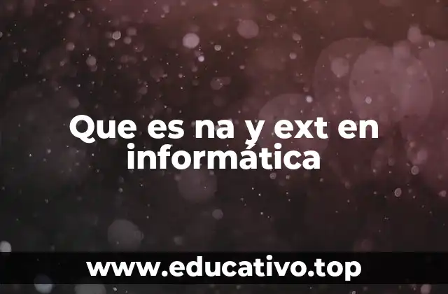 Que es na y ext en informática