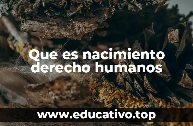 Que es nacimiento derecho humanos