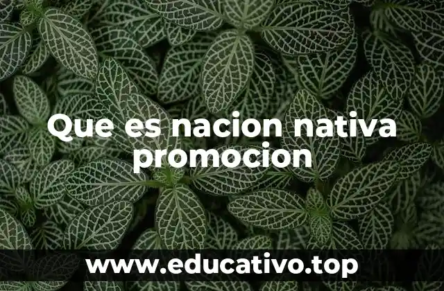 Que es nacion nativa promocion