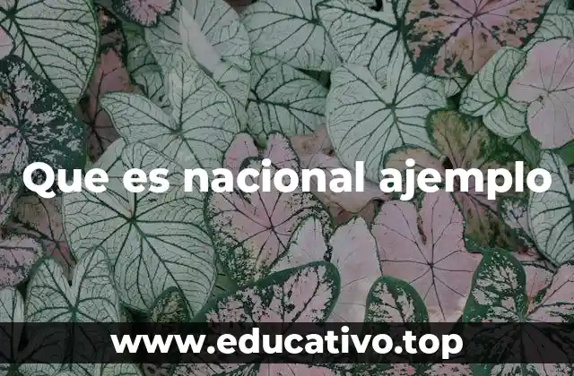 Que es nacional ajemplo