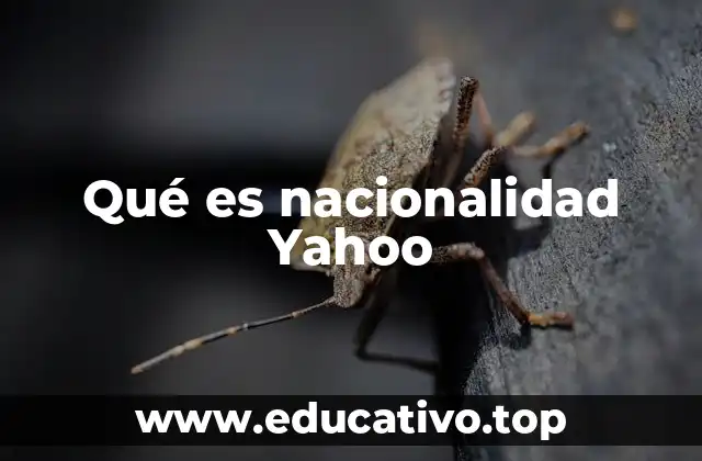 Qué es nacionalidad Yahoo