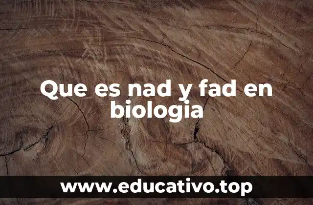 Que es nad y fad en biologia