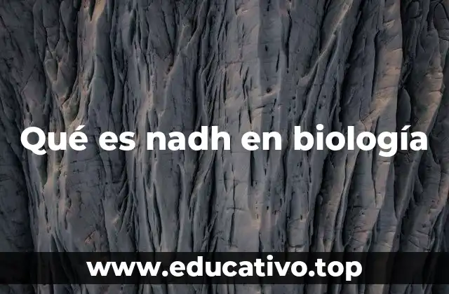 El NADH en la respiración celular