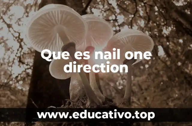 Que es nail one direction