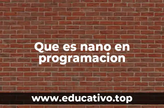 Que es nano en programacion