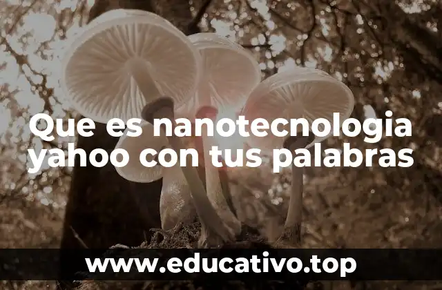 Que es nanotecnologia yahoo con tus palabras