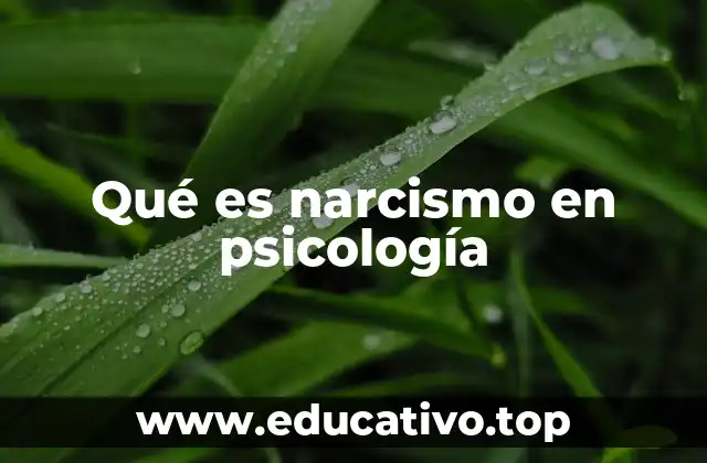 Qué es narcismo en psicología