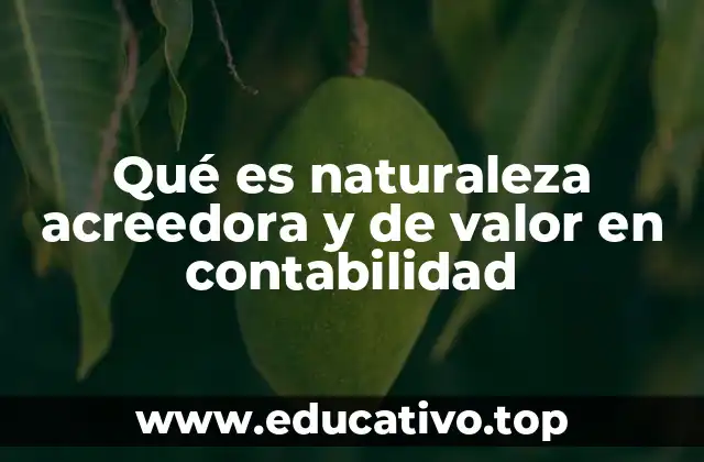 Qué es naturaleza acreedora y de valor en contabilidad