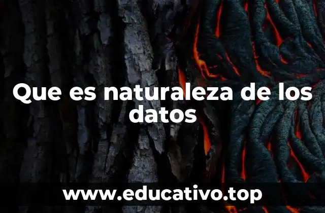 Que es naturaleza de los datos