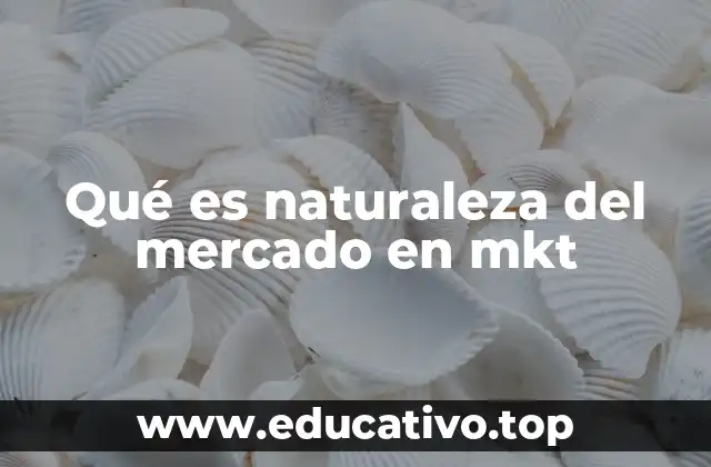 Qué es naturaleza del mercado en mkt
