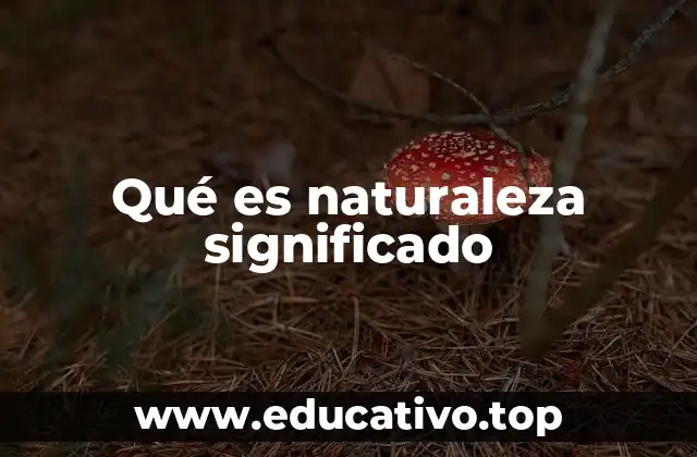 Qué es naturaleza significado