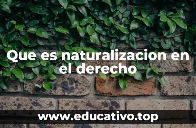 El proceso de integración ciudadana