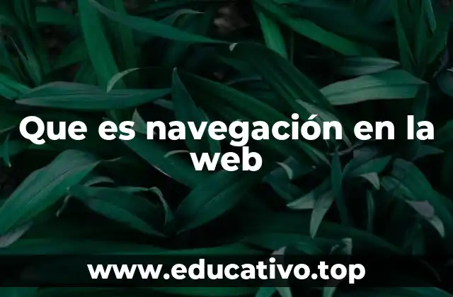 Que es navegación en la web