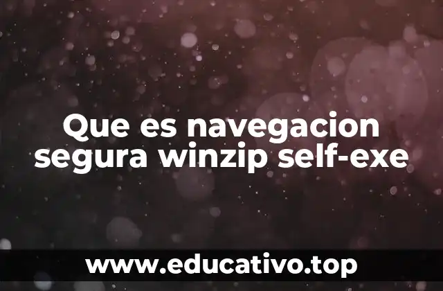 Que es navegacion segura winzip self-exe