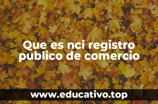 Que es nci registro publico de comercio