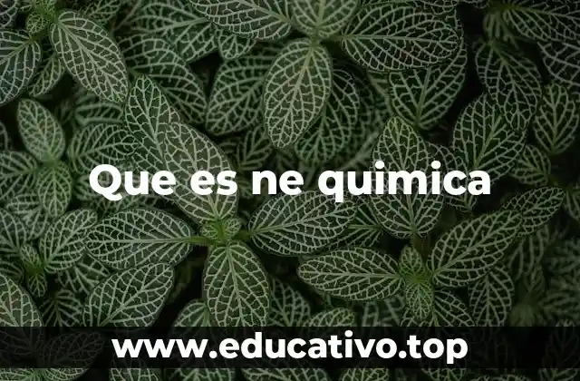 Que es ne quimica