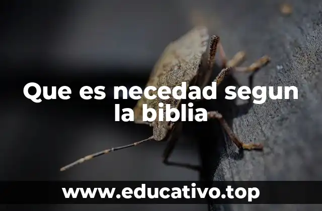 Que es necedad segun la biblia