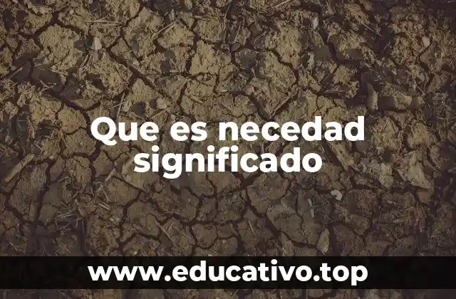 Que es necedad significado