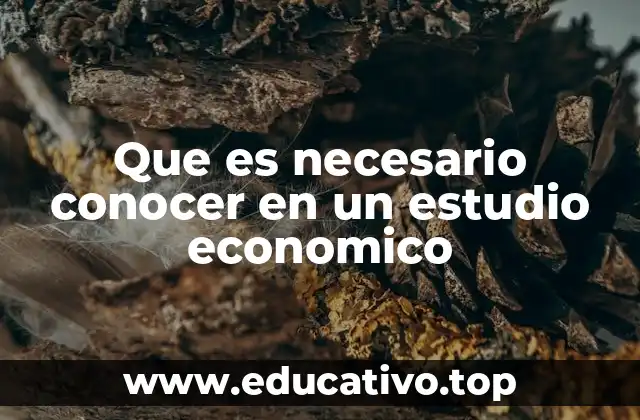 Que es necesario conocer en un estudio economico