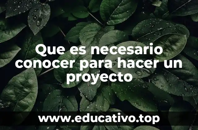 Cómo construir una base sólida para cualquier proyecto