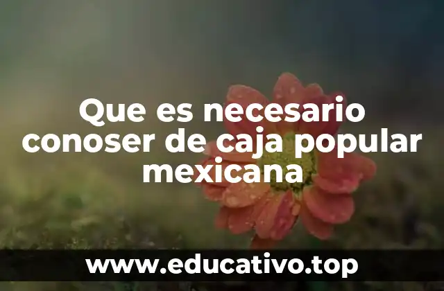 Que es necesario conoser de caja popular mexicana