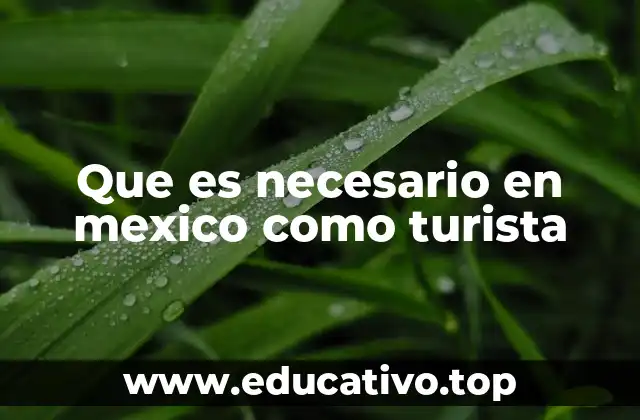 Que es necesario en mexico como turista