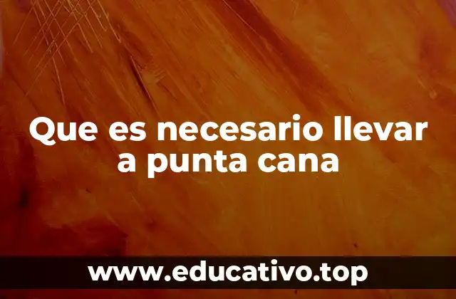 Que es necesario llevar a punta cana