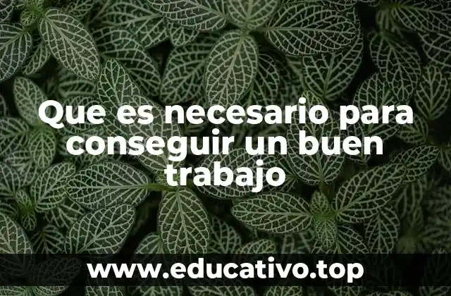 Que es necesario para conseguir un buen trabajo
