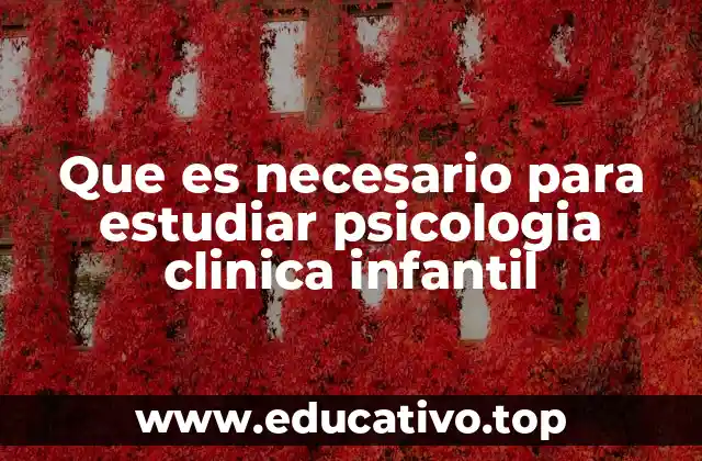 Que es necesario para estudiar psicologia clinica infantil