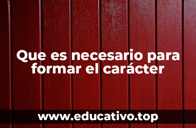 Que es necesario para formar el carácter