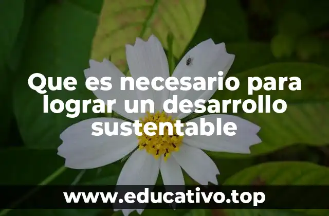 Que es necesario para lograr un desarrollo sustentable